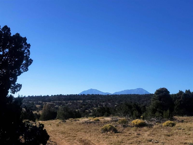 Cr 521 Lot 12, Walsenburg, Co 81089 : Walsenburg : Huerfano County : Colorado