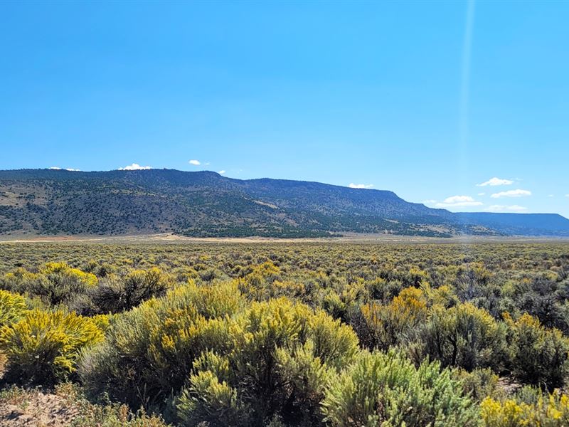 Spectacular San Luis Valley Views : San Luis : Costilla County : Colorado