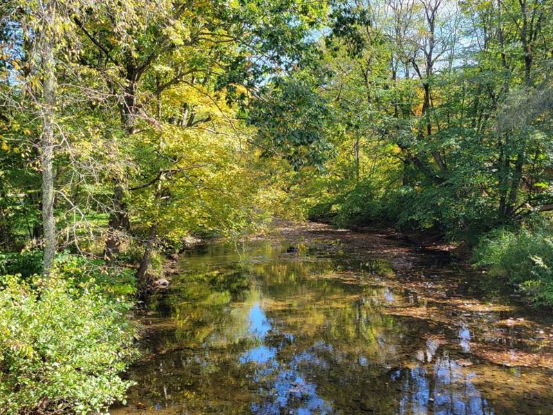33.52 Acres in Grayson County, VA : Mouth Of Wilson : Grayson County : Virginia