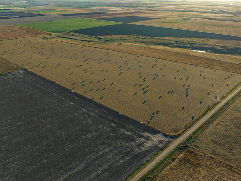 Russell County Cropland & Crp : Russell : Russell County : Kansas