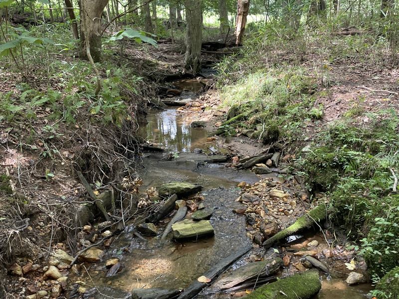 Akins Tract, Heard County 26 ac : Franklin : Heard County : Georgia