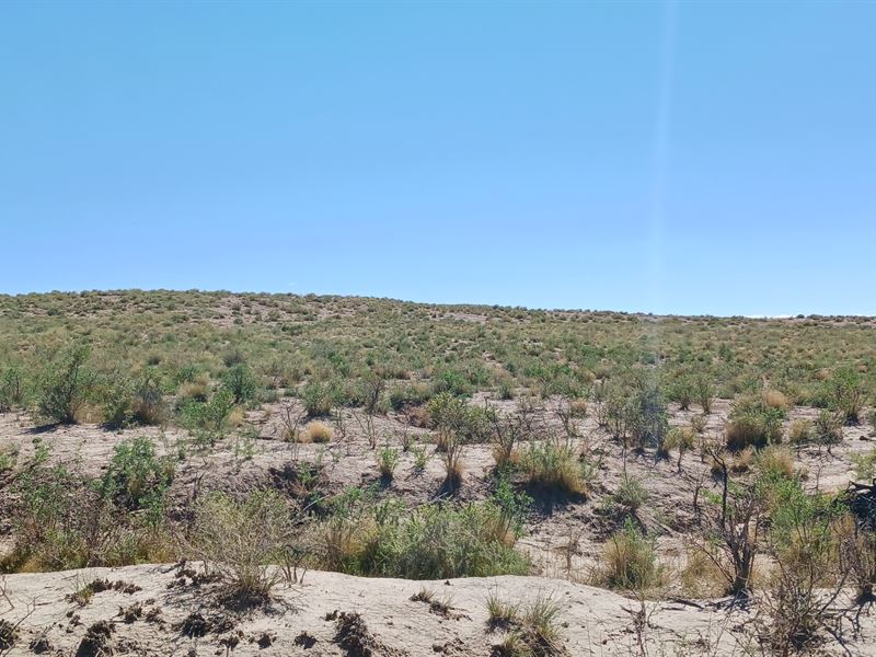 Invest, Build, 10 Acre Opportunity : Saint Johns : Apache County : Arizona