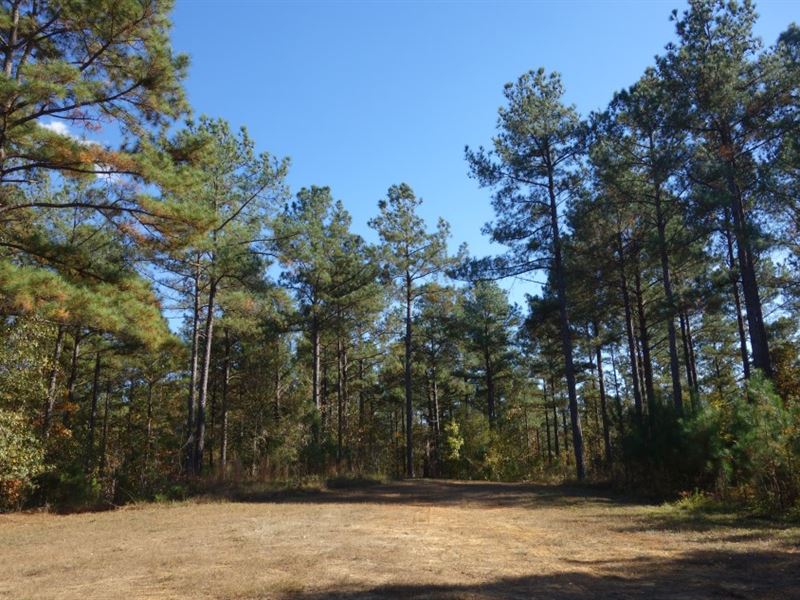 Hunt Where You Live : Winnsboro : Fairfield County : South Carolina
