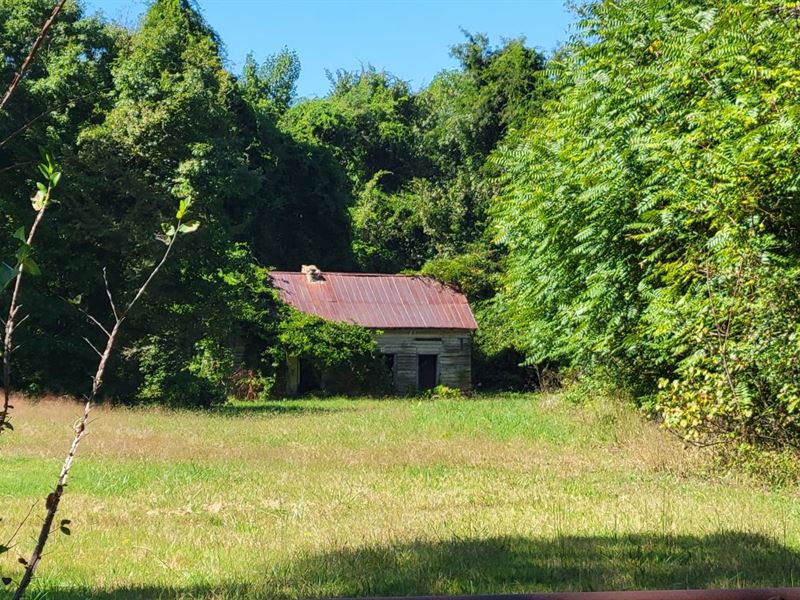 29.7 Acres in Halifax County, VA : Clover : Halifax County : Virginia