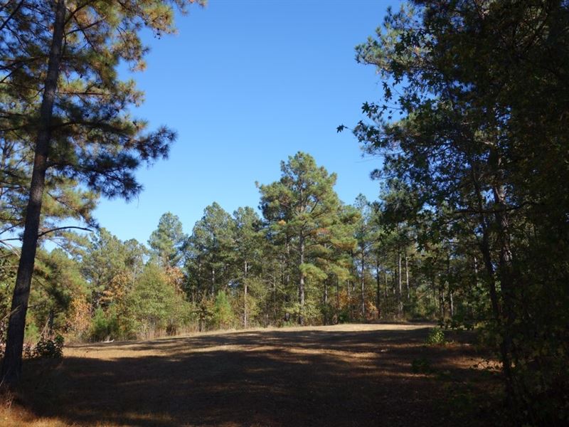 Creek, Hunting, Homesite : Winnsboro : Fairfield County : South Carolina