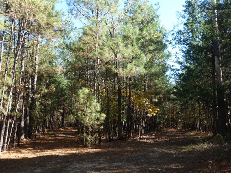 Wooded, Rec Tract with Homesite : Winnsboro : Fairfield County : South Carolina