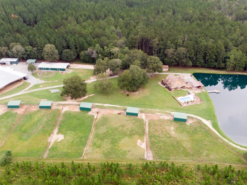 Equine Property with Arena : Vidalia : Toombs County : Georgia
