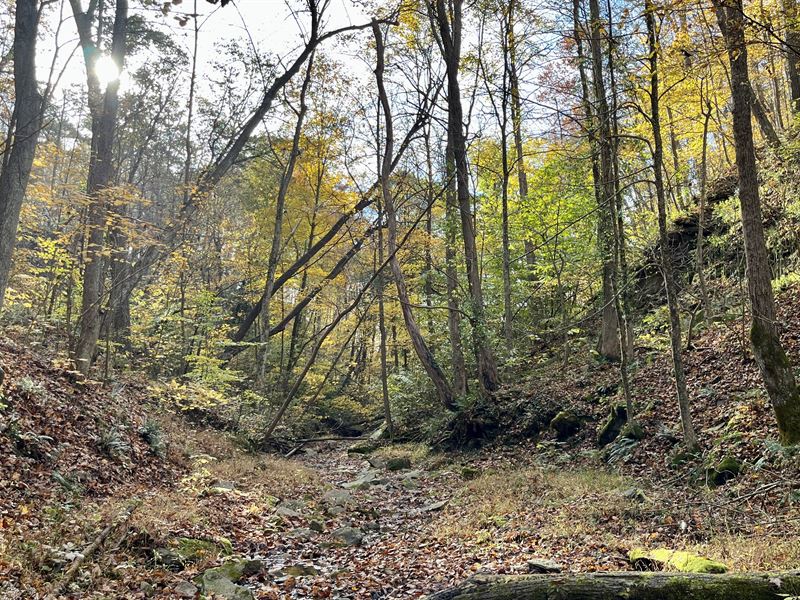 Hunting Property for Sale in Ohio : Newport : Washington County : Ohio