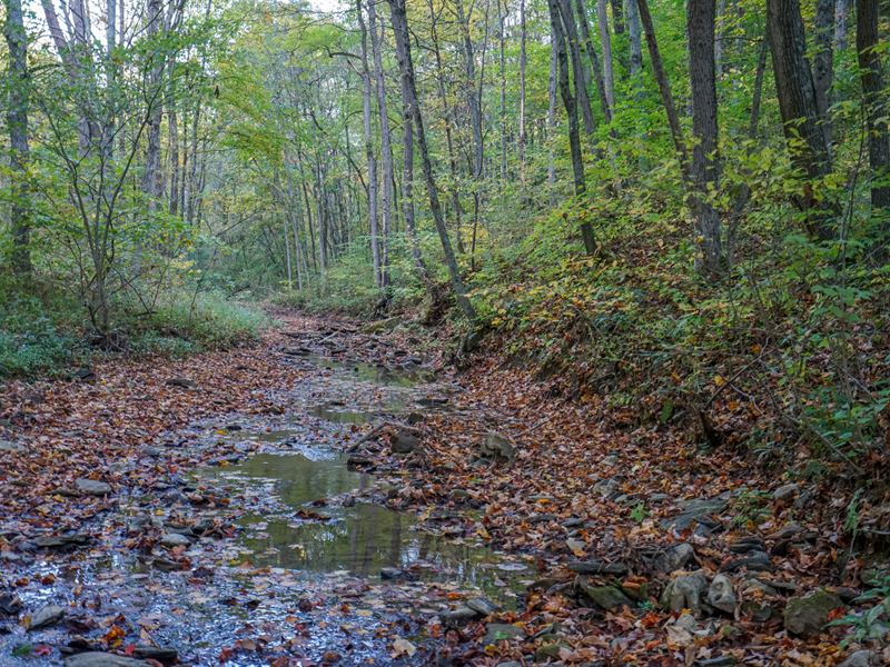 Shimp Run Rd 84 : Caldwell : Noble County : Ohio