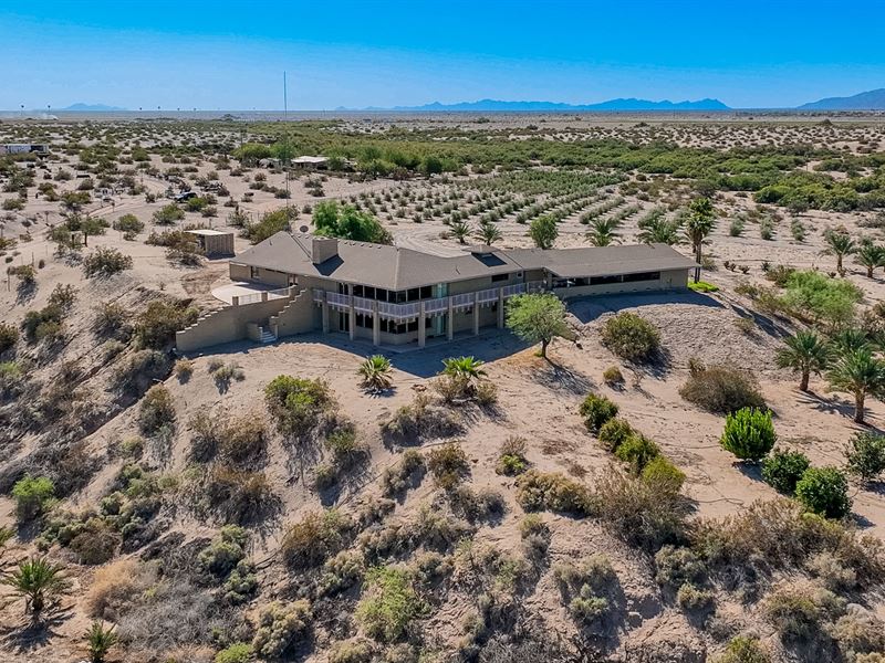 Medjool Date & Olive Farm, Tacna : Roll : Yuma County : Arizona