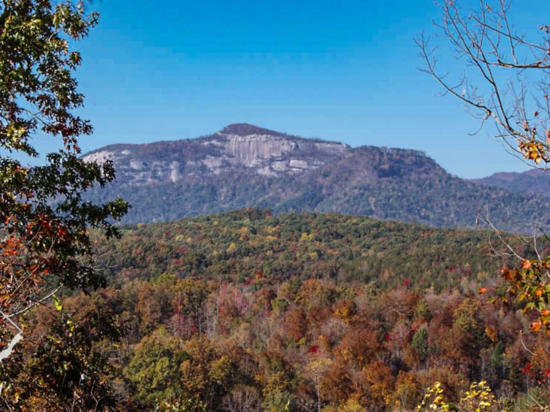35 Acres with View of Table Rock : Pickens : Pickens County : South Carolina