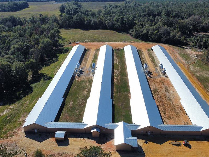 4 House Breeder Farm Greenville : Luverne : Crenshaw County : Alabama
