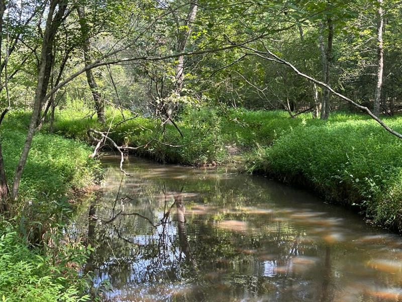 Town Creek Retreat : Lexington : Oglethorpe County : Georgia
