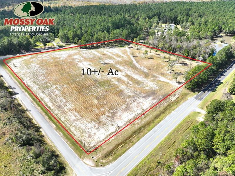 10 Ac Cleared Pasture Land : Waverly : Camden County : Georgia
