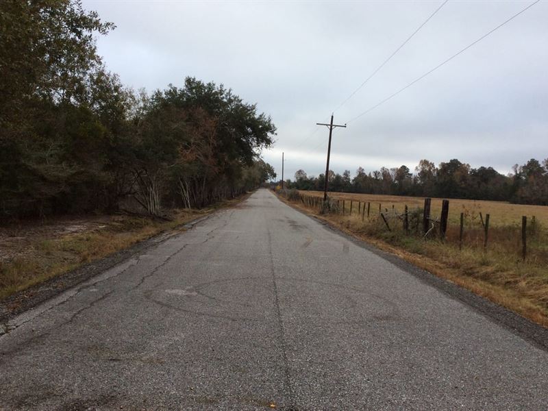 Choupique Bayou, Calcasieu Parish : Sulphur : Calcasieu Parish : Louisiana