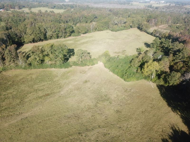 23Ac Homesite with Pasture : Clanton : Chilton County : Alabama