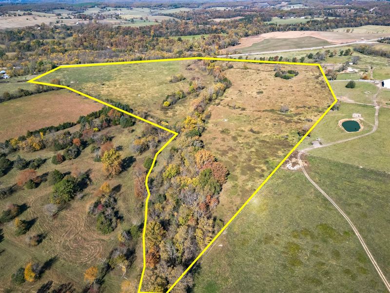 Prime Land in The Ozarks : Cabool : Texas County : Missouri