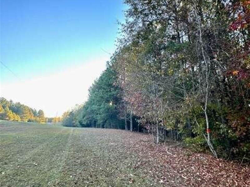 12.39+ Acres of Tranquil Paradise : Colbert : Madison County : Georgia