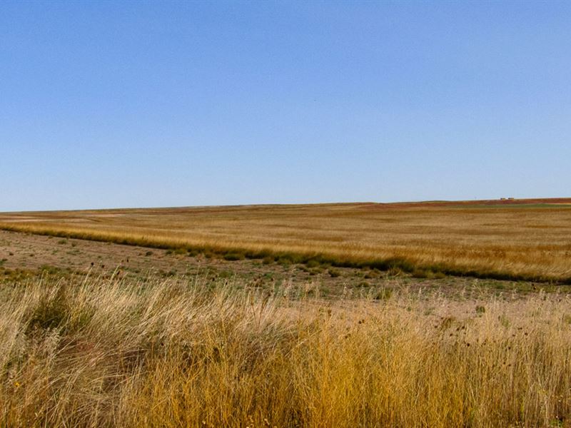 Kimball County Organic Farm : Kimball : Kimball County : Nebraska