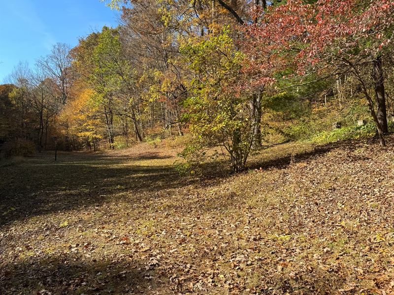 113 Acres Pulaski County, KY : Somerset : Pulaski County : Kentucky