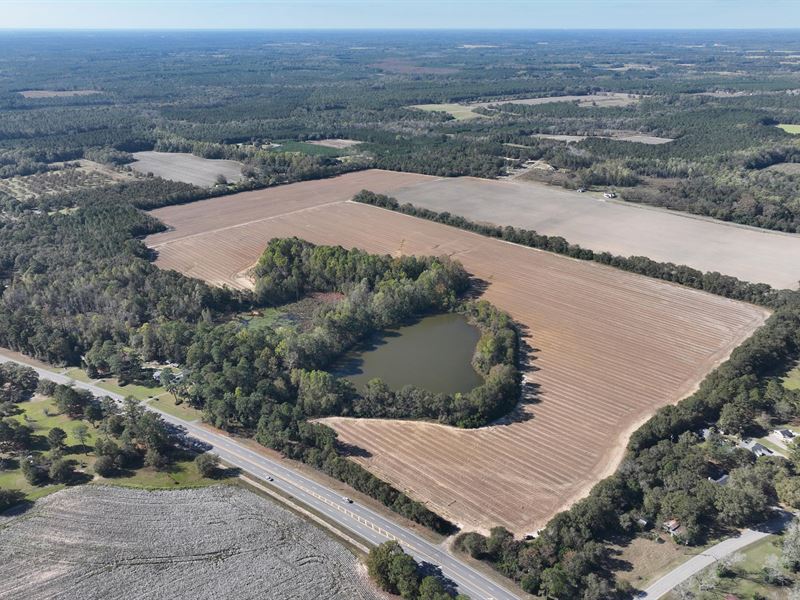 Rock Hill Farm : Claxton : Evans County : Georgia