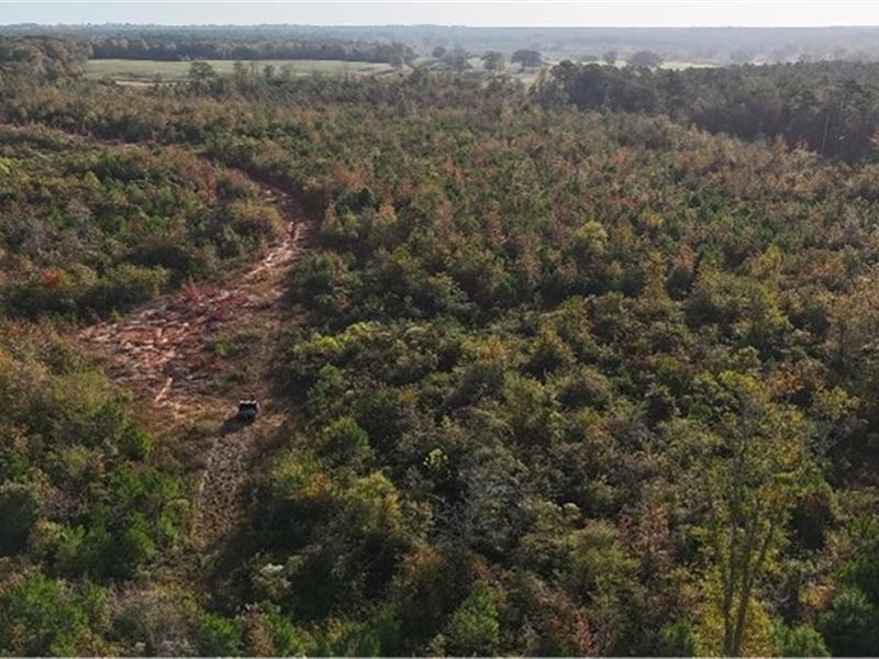 274 Acres in Winston County in Loui : Louisville : Winston County : Mississippi