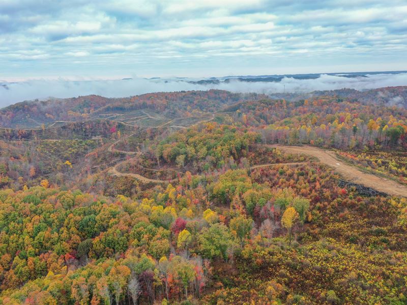 486 Acres in Pike and Ross County : Chillicothe : Ross County : Ohio