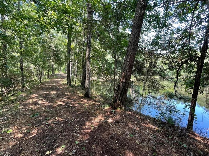 12.3 Acres On Reservoir Road Lot 2 : Waynesboro : Wayne County : Mississippi