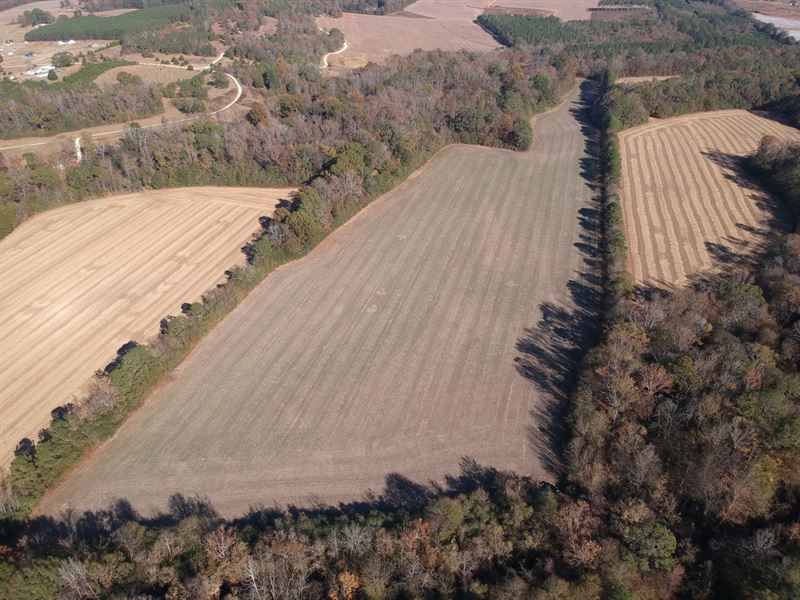 Twin Creeks Tract 65 Ac : Piedmont : Cherokee County : Alabama