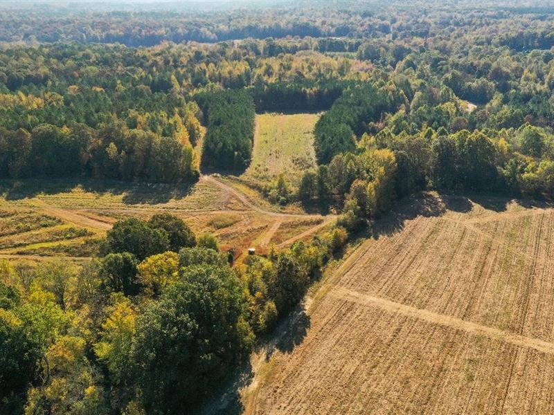 1286.50 Acres with A Home Long Cre : Cascilla : Tallahatchie County : Mississippi