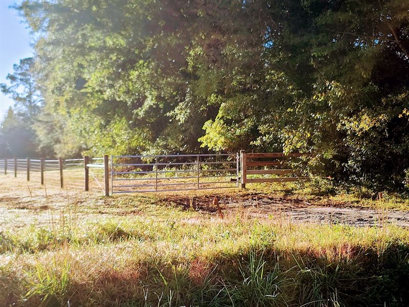 Old Shoals Mini Farm : Donalds : Greenwood County : South Carolina
