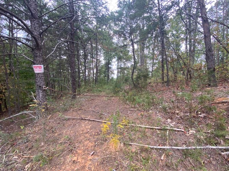 23 Acre Off Road Homestead : Margaret : Saint Clair County : Alabama
