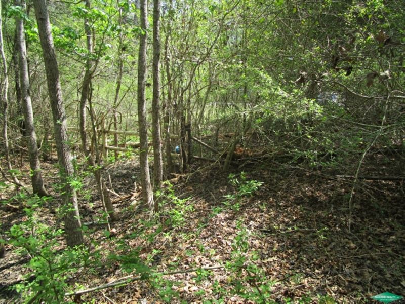 58.7 Ac, Timberland, Development : Beaumont : Jefferson County : Texas