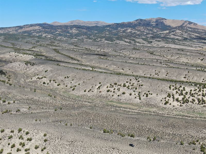 Stunning 10 Ac in Elko County, NV : Montello : Elko County : Nevada
