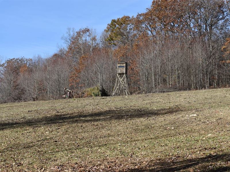Tantalizing Telic Run : Youngsville : Warren County : Pennsylvania