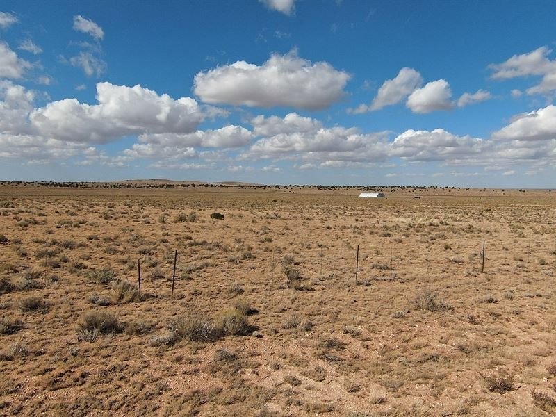 RV Friendly Lot : Williams : Coconino County : Arizona