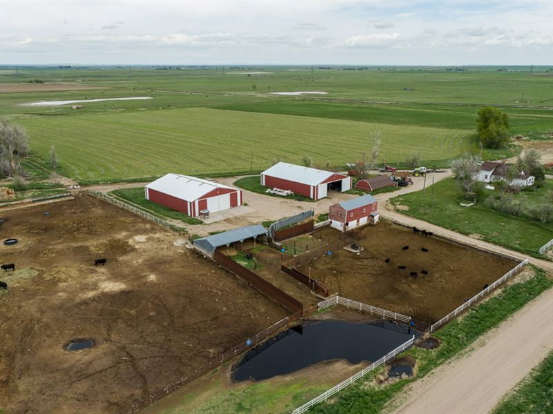 Imig Irrigated Farm : Hawk Springs : Goshen County : Wyoming