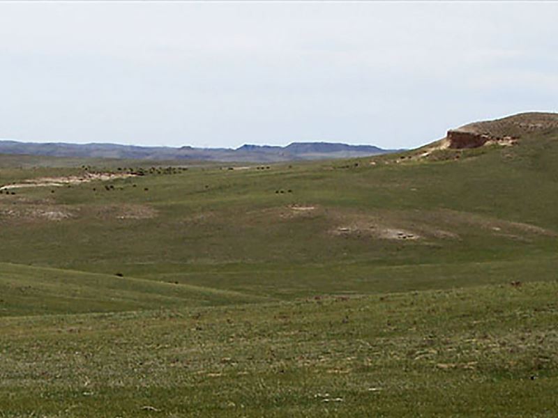 Green Pasture : Fort Laramie : Goshen County : Wyoming