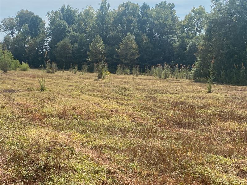 Ms, Leflore 49 Acres : Avalon : Leflore County : Mississippi