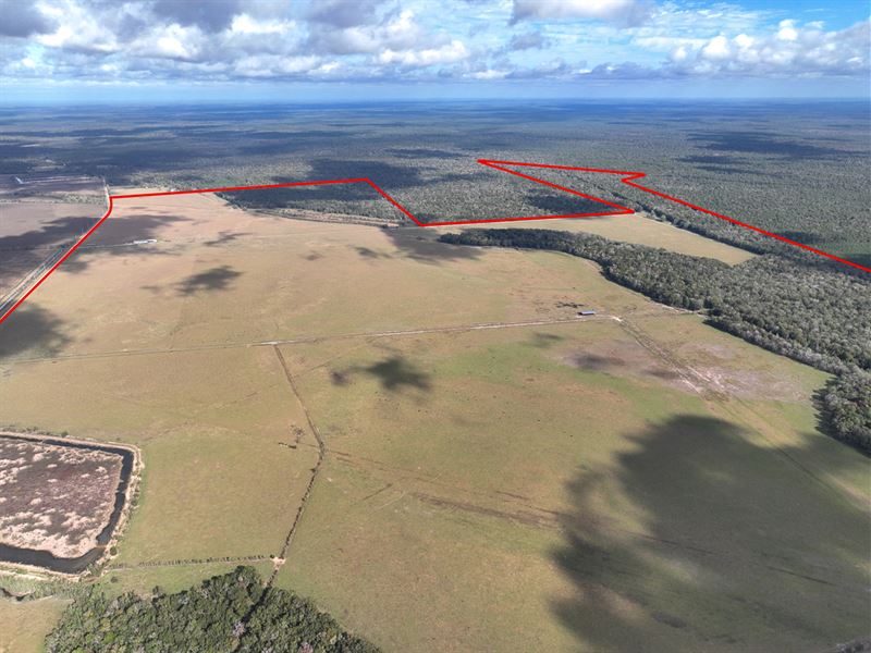 1,290 Acres Old Sour Lake Road : Sour Lake : Hardin County : Texas