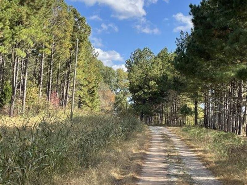 1330 Blackwell Road : Newborn : Morgan County : Georgia