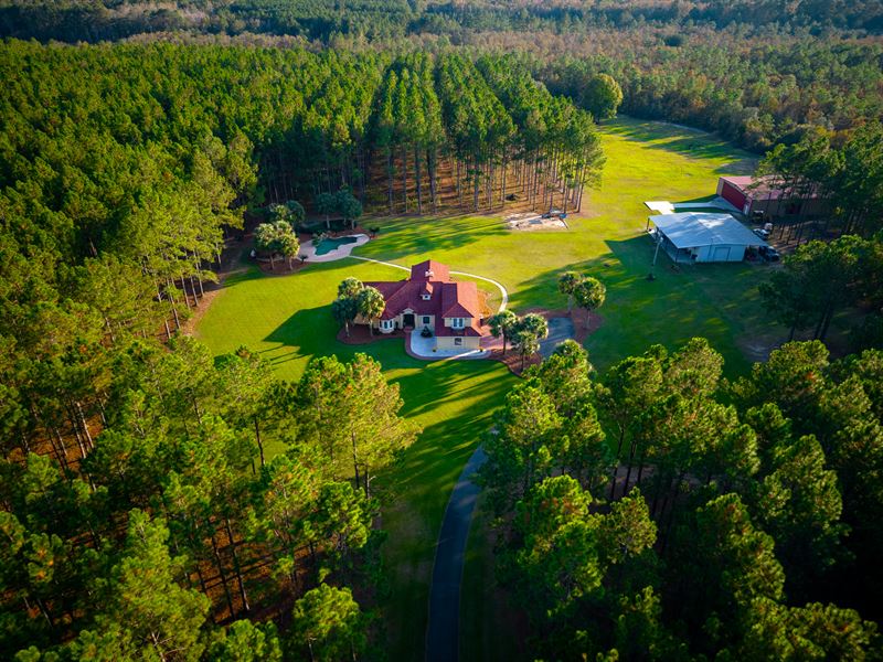 106 Acres on Big Satilla Creek : Baxley : Appling County : Georgia