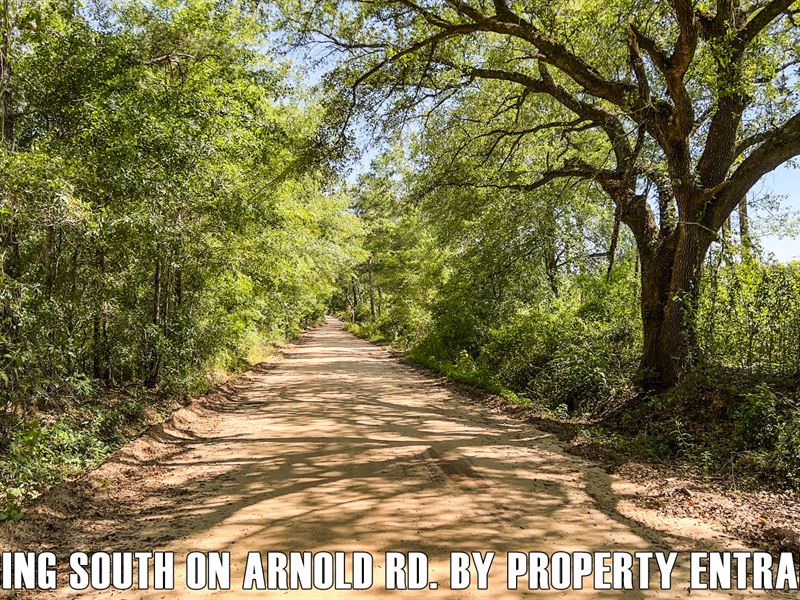 23.5 Acres Recreational Lot : Bainbridge : Decatur County : Georgia