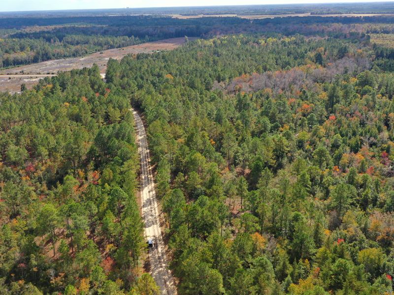 18.53 Acres in Bladen County, NC : Kelly : Bladen County : North Carolina