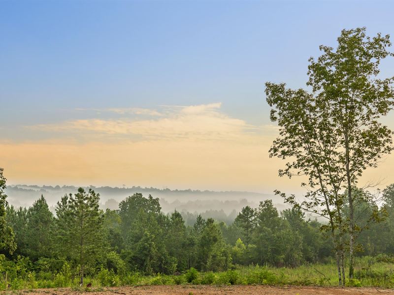 70 Acres, Georgetown, Tennessee : Georgetown : Meigs County : Tennessee