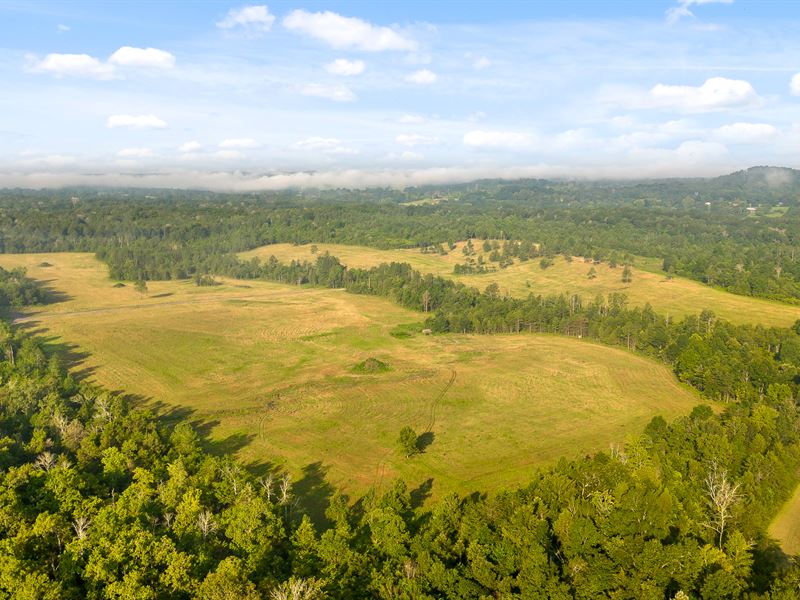 111 Acres, Georgetown, TN : Georgetown : Meigs County : Tennessee