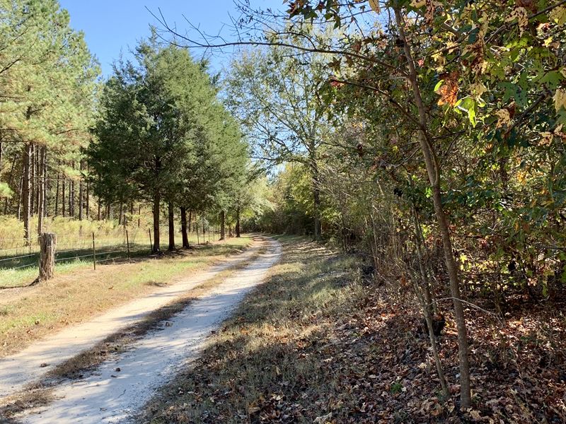 Stephens Road Tract : Lexington : Oglethorpe County : Georgia