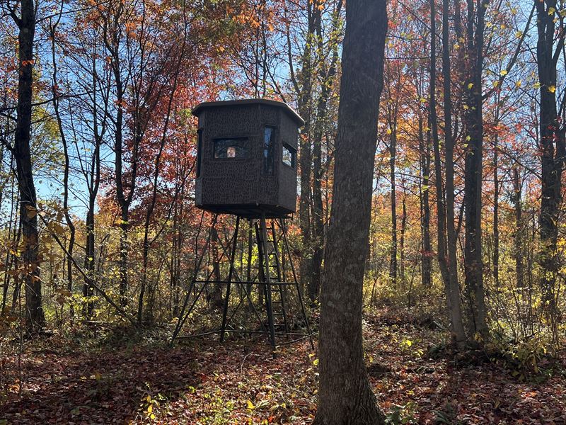 Hocking Hills Land for Sale : Creola : Vinton County : Ohio
