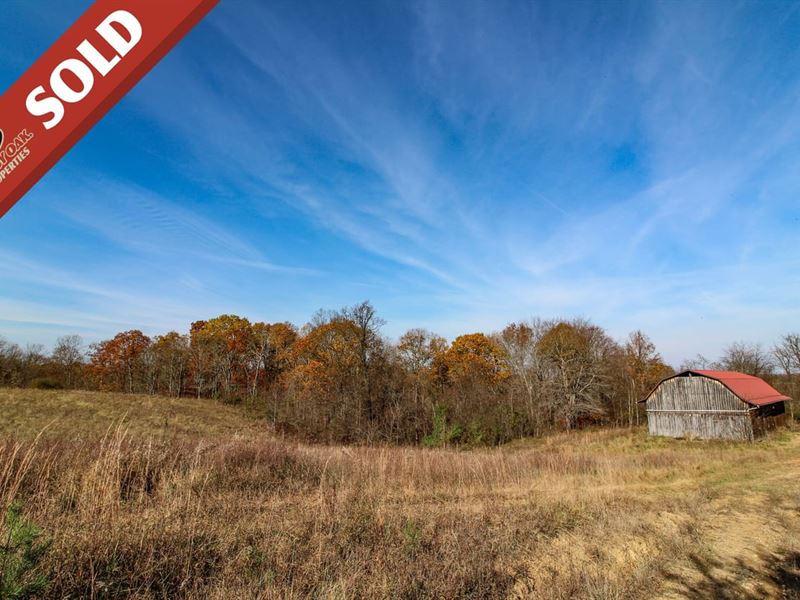 SR 681, 258 Acres, Meigs County : Reedsville : Meigs County : Ohio