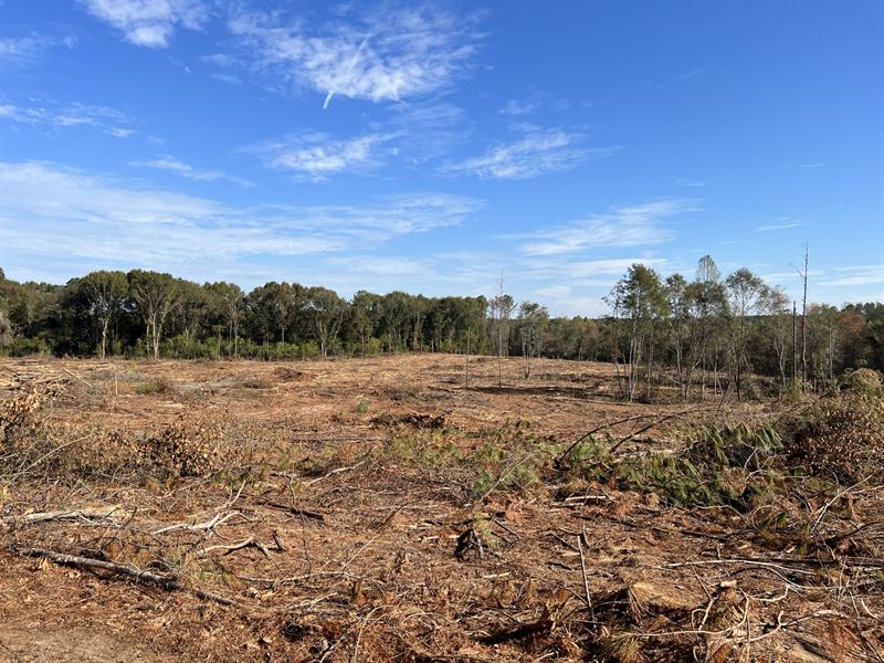 34 Acres Williamson Road : Honoraville : Crenshaw County : Alabama